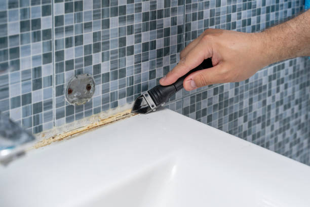 Best Fast Mold Removal  in Rohnert Park, CA